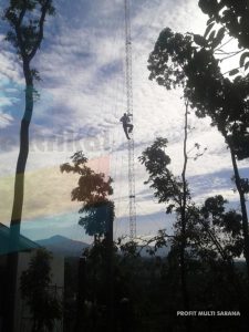 Penangkal Petir Grounding Bandung Surabaya Jakarta